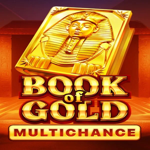 Book of Gold Multichance logo by Playson at Casina Casino