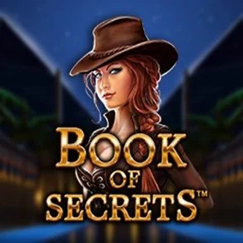 Try Book of Secrets slot by SYNOT Games on casinacasinoo.com – logo image