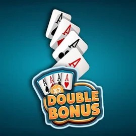 Double Double Bonus slot visual from Red Rake Gaming available on casinacasinoo.com