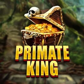 Try Primate King slot by Red Tiger Gaming on casinacasinoo.com – logo image