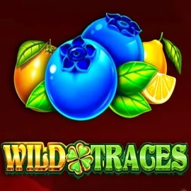Play Wild Traces slot by Amusnet Interactive on casinacasinoo.com