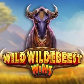Wild Wildebeest Wins – slot by Pragmatic Play, featured at casinacasinoo.com
